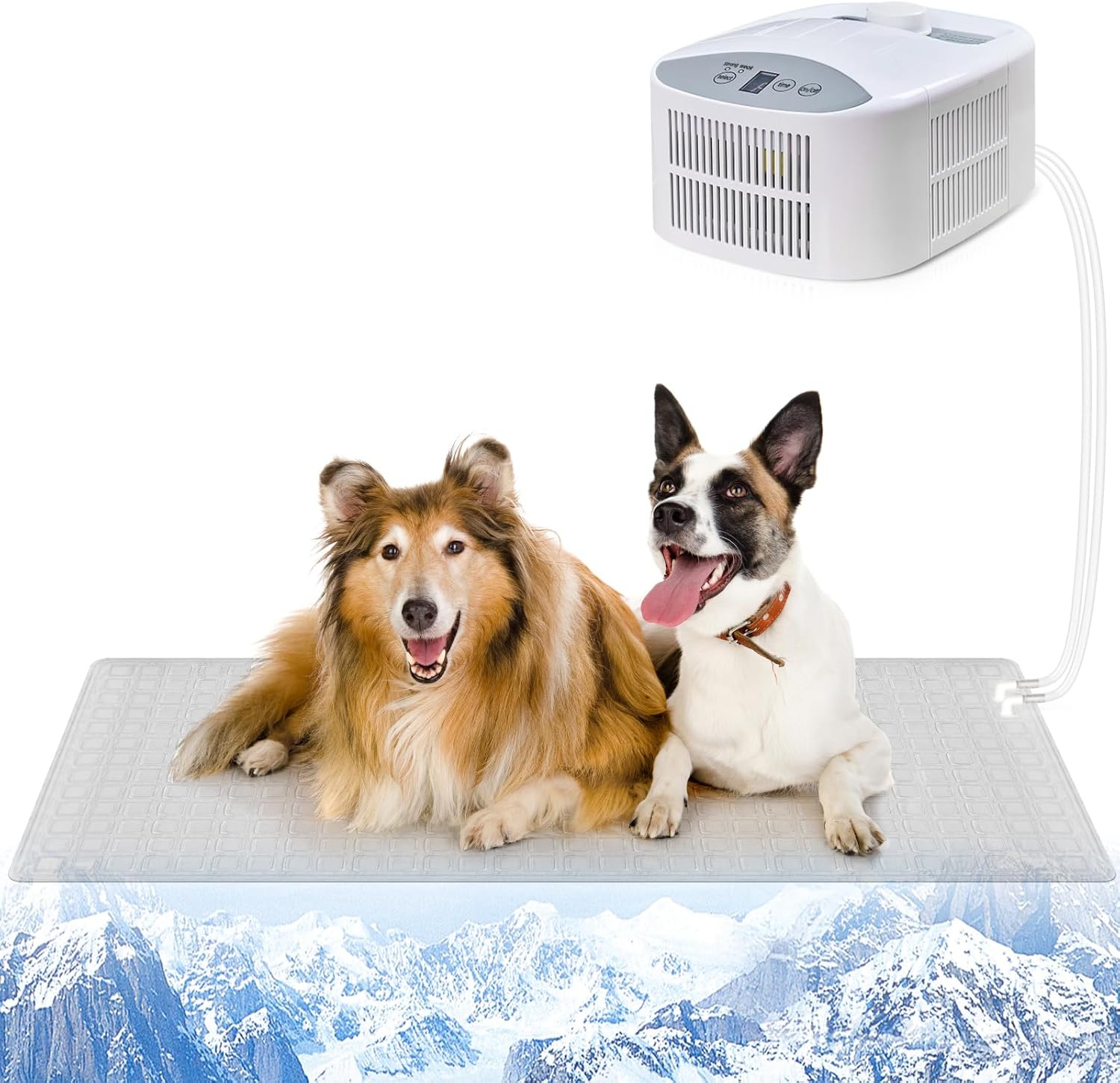 Beat the Heat with mCare Cooling Mat for Dogs