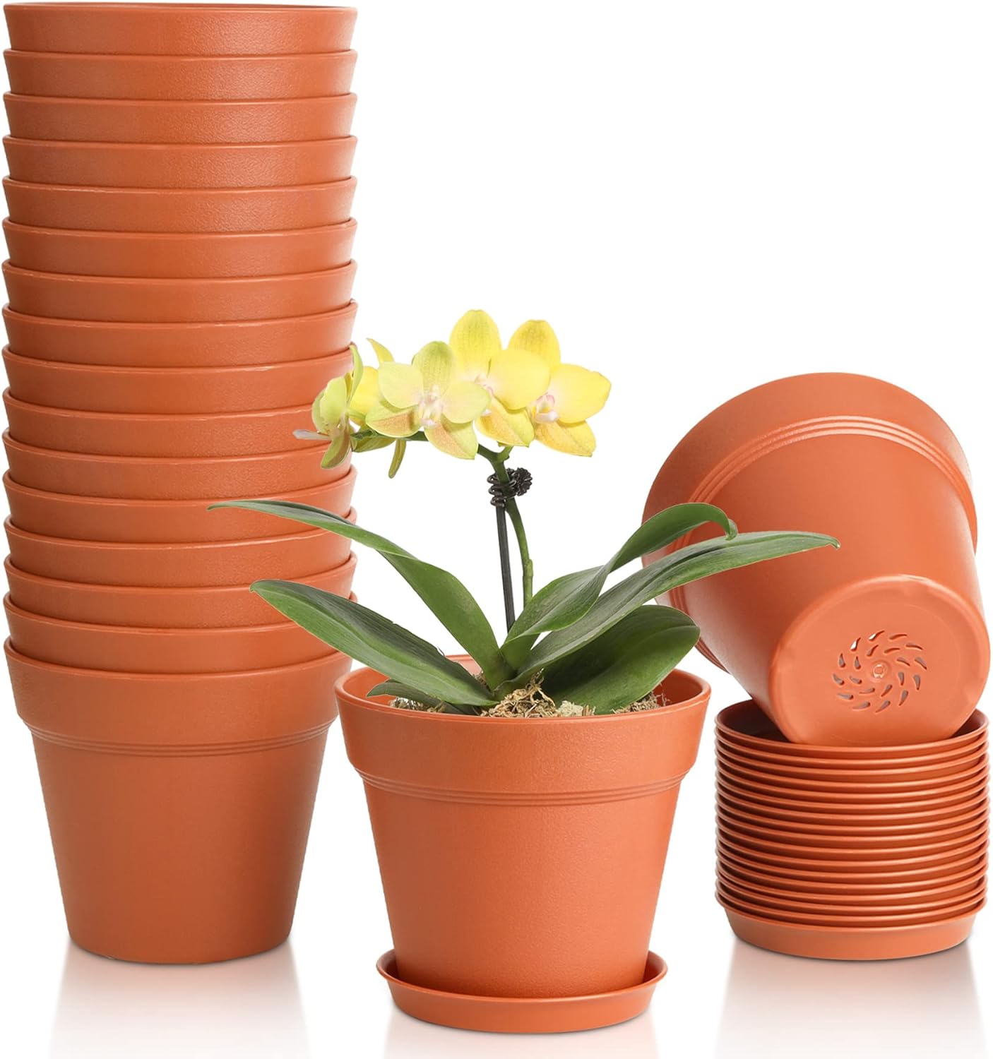 Elevate Your Green Space with T4U 5 Inch Plastic Planters