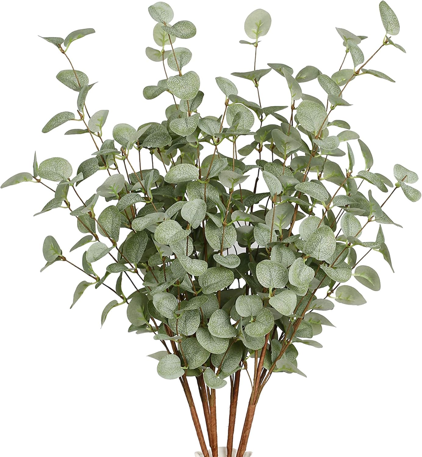 Bringing Life to Your Space with VGIA’s Eucalyptus Stems